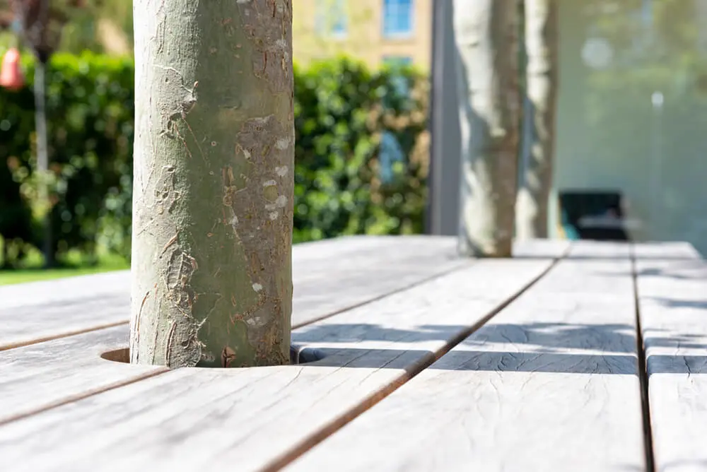 ngahouten-balkentafel-om-bomen