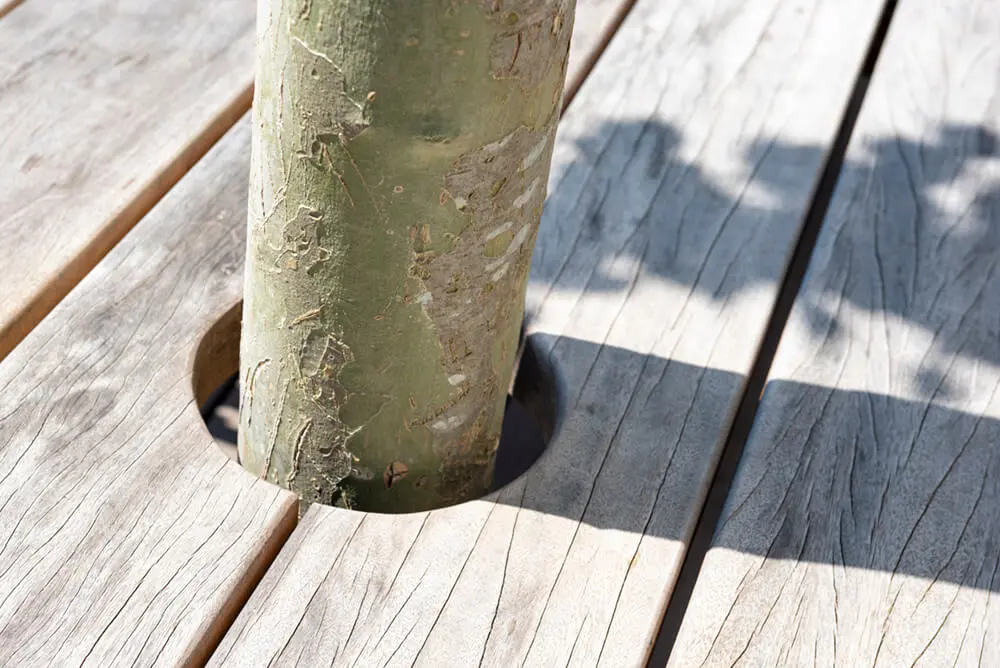 ngahouten-balkentafel-om-bomen