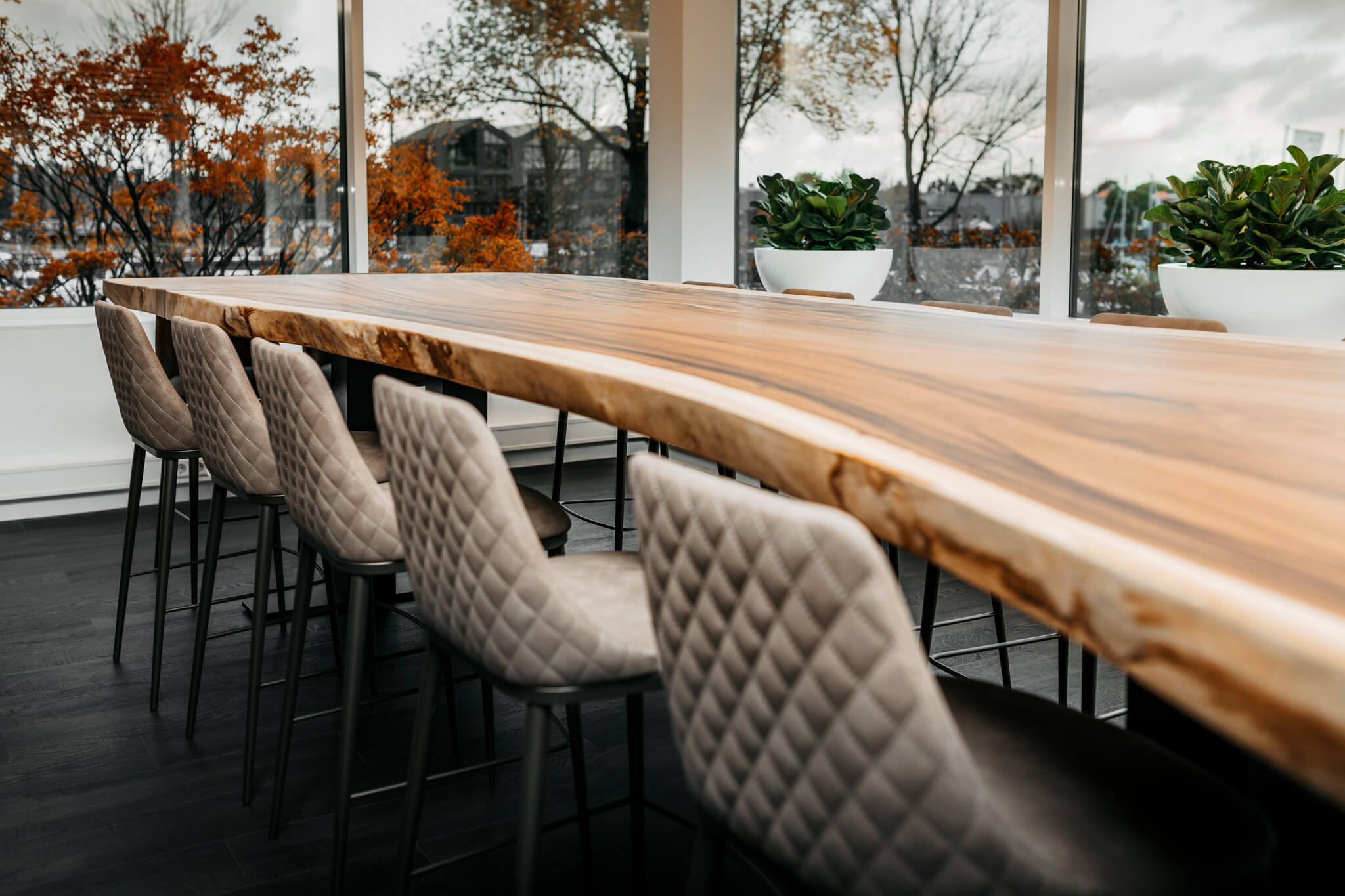 Suar boomstamblad 400 cm